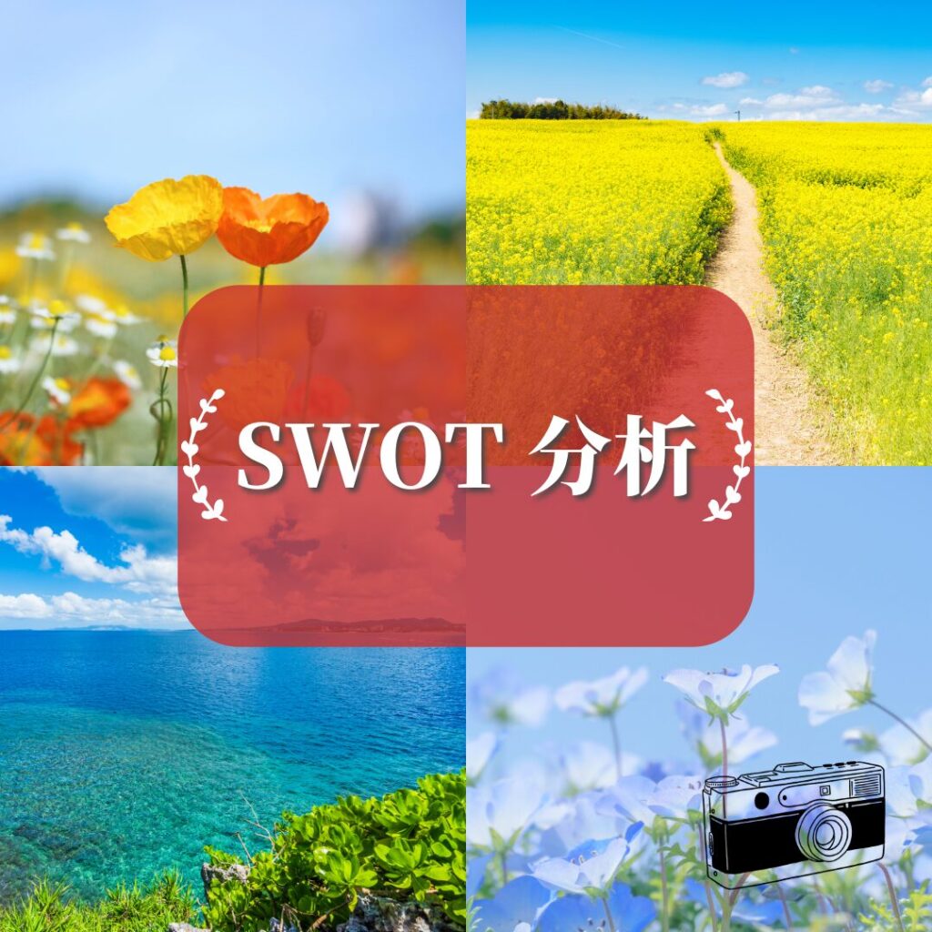 SWOT分析, 中小企業診断士