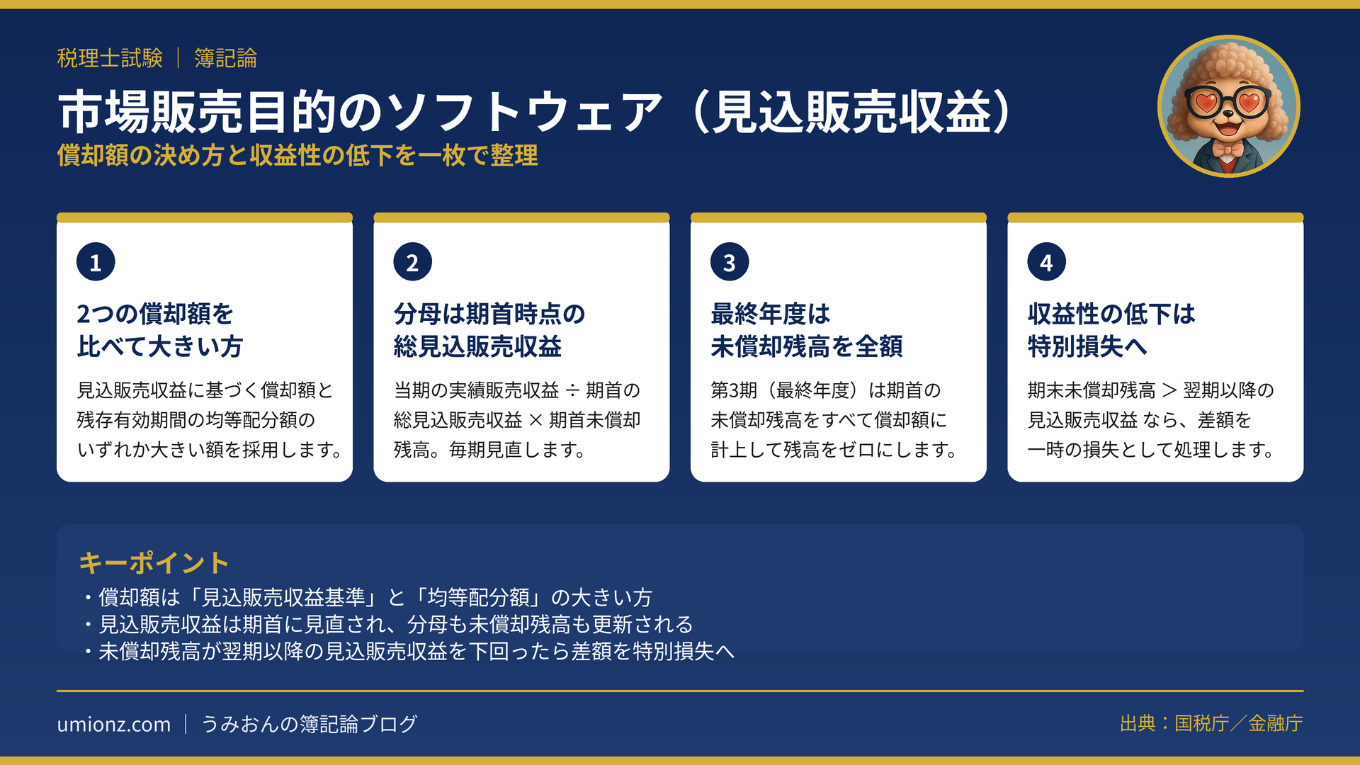 市場販売目的のソフトウェア（見込販売収益）のまとめインフォグラフィック